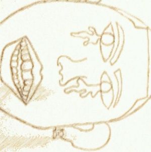 Meet your Posher, Janari